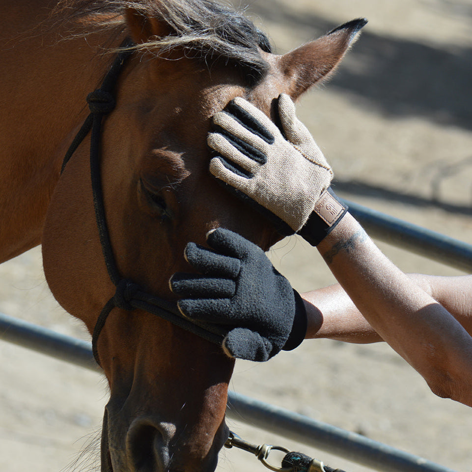 hands on handschuhe HandsOn Finishing Gloves, Large